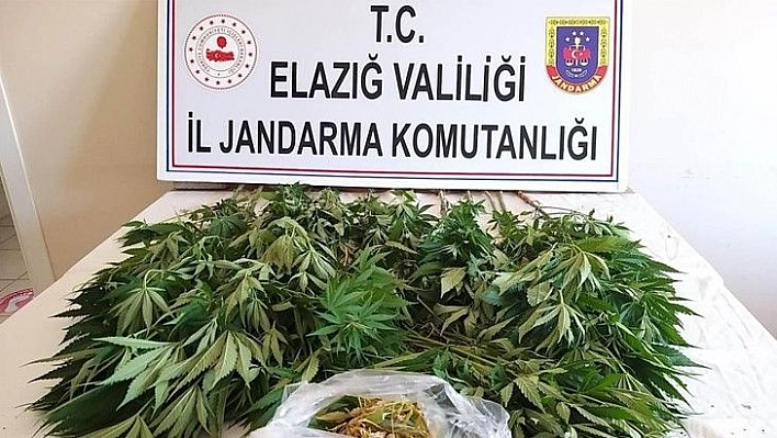 Elazığ'da zehir tacirlerine operasyon, 17 kilo esrar ele geçirildi