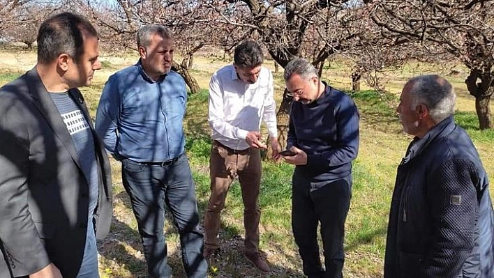 Elazığ'da Zirai Don Nedeniyle Hasar Tespit Çalışmaları Başladı