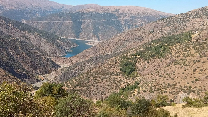 Elazığ'daki orman yangını söndürüldü