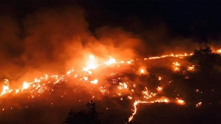 Elazığ'daki örtü yangını rüzgarın etkisiyle yeniden alevlendi