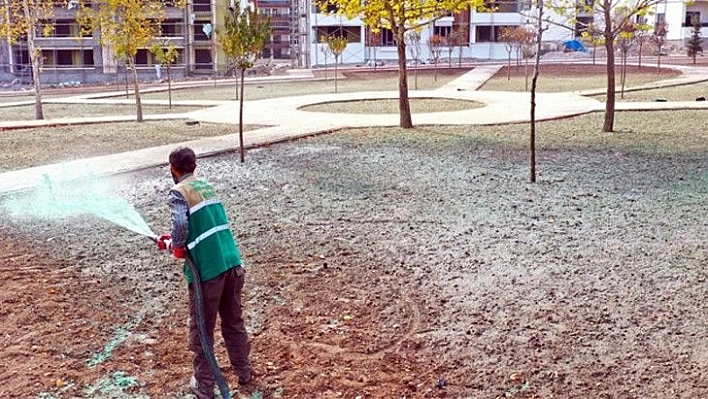 Elazığ'daki parklar, kış aylarında da yeşil kalacak