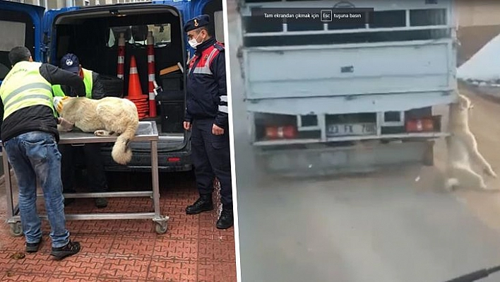 Elazığ'daki Skandal Görüntüye Jandarmadan Anında Müdahale