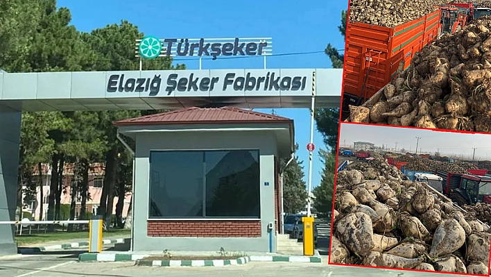 Elazığ ekonomisine 'şeker' dopingi