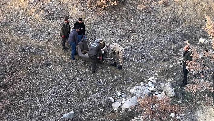 Elazığ İl Jandarma Komutanlığı, Yaralı Dağ Keçisi İçin Seferber Oldu