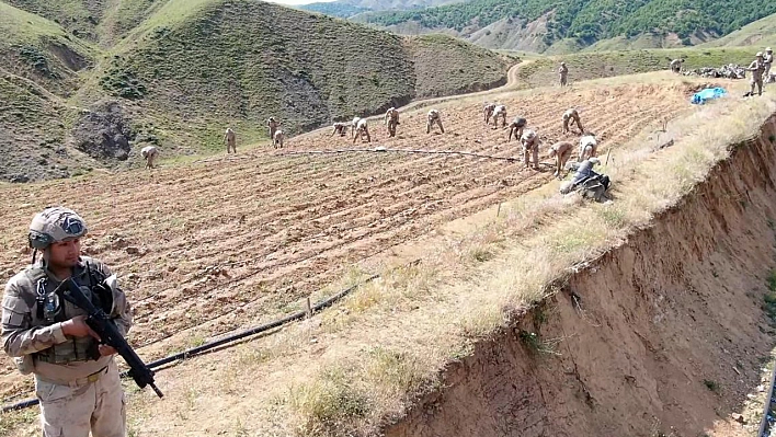 Elazığ İl Jandarma Komutanlığından Lice'ye uyuşturucu operasyonu