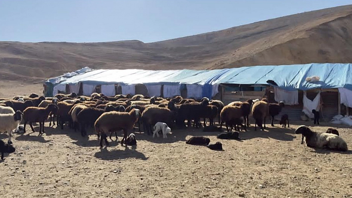 Elazığ'ın 3 ilçesi karantina altında: Ekiplerin çalışması sürüyor!