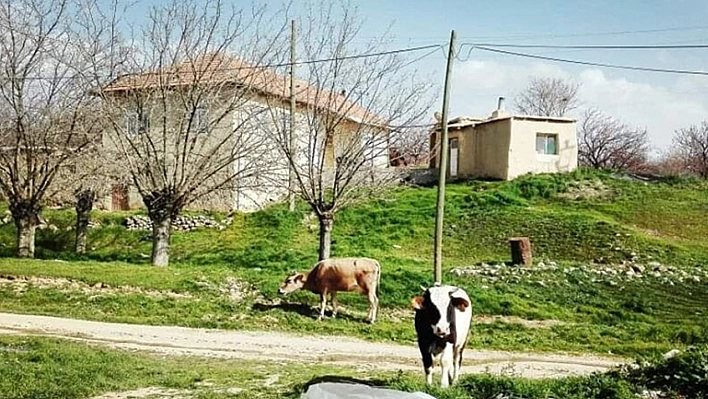 Elazığ'ın En Güzel Köyü Belli Oldu! Giden Bir Daha Dönmek İstemiyor!