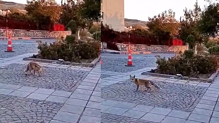 Elazığ'ın her yerindeler gören telefonuna sarılıyor