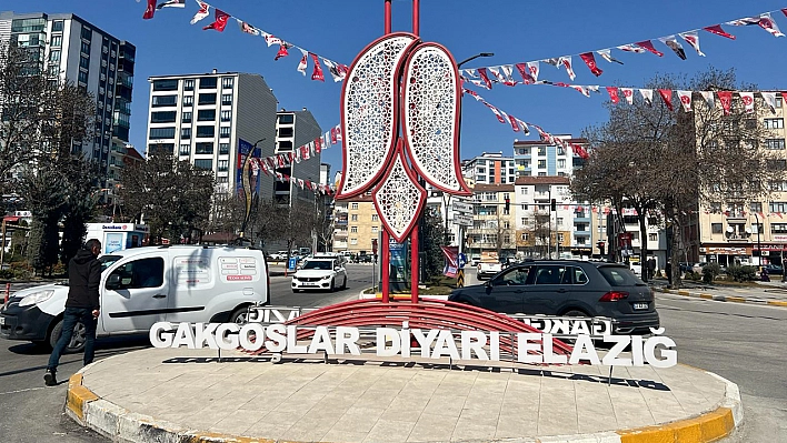 Elazığ'ın kaybolmaya yüz tutan meslekleri