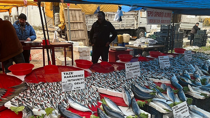 Elazığ'ın semt pazarlarında güncel balık fiyatları