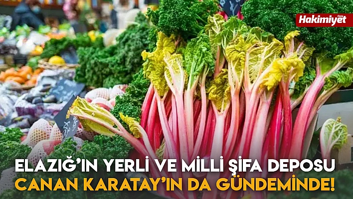 Elazığ'ın Yerli ve Milli Şifa Deposu Canan Karatay'ın da Gündeminde!