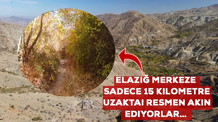 Elazığ merkeze sadece 15 kilometre uzakta! Resmen akın ediyorlar… 