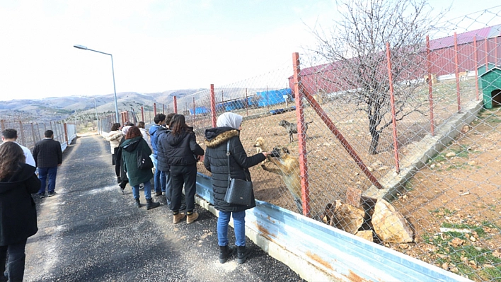 Elazığ Önde… 