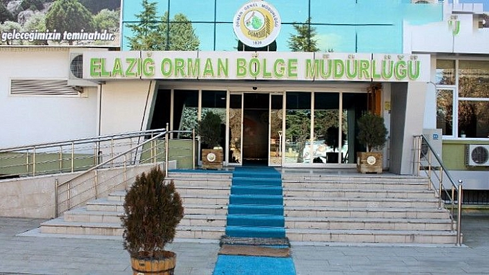 Elazığ Orman Bölge Müdürlüğü'nde Geçici İşçi Alımı Başvuruları Başladı