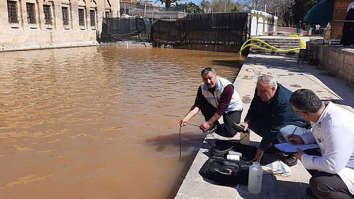 Elazığ Su Ürünleri Araştırma Enstitüsü, Balıklıgöl'de İnceleme Yaptı