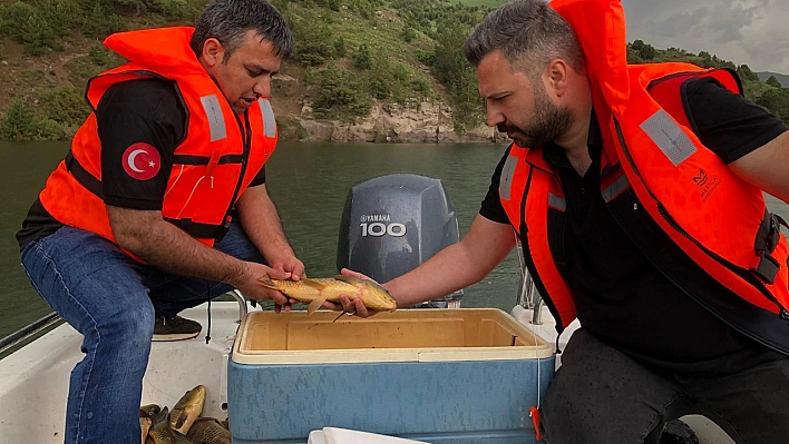 Elazığ Su Ürünleri Araştırma Enstitüsü her yerde