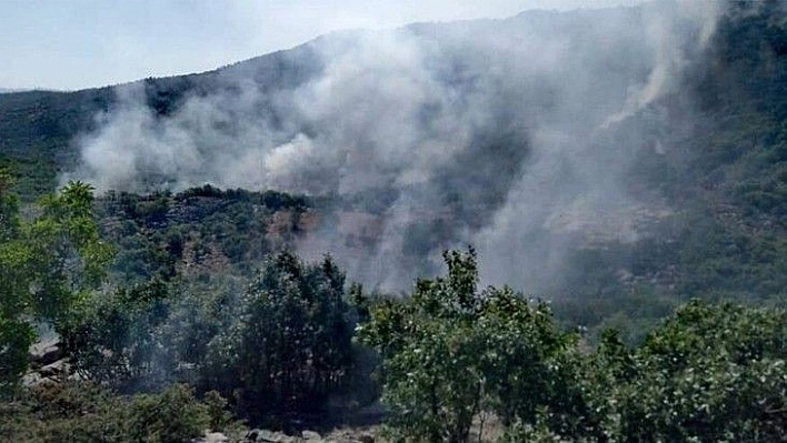 Elazığ Valiliği'nden orman yangını hakkında açıklama