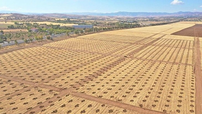 Elazığ ve Geleceğe Nefes Olacak Proje