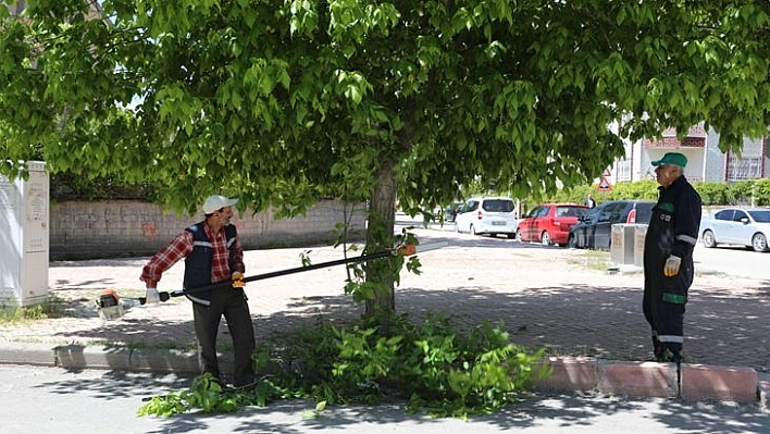 Elazığ Yeşil Bir Yaz Mevsimine Hazırlanıyor