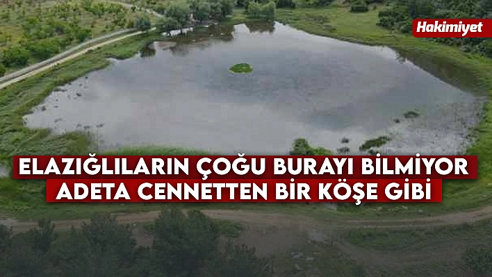 Elazığlıların çoğu burayı bilmiyor! Adeta cennetten bir köşe gibi...