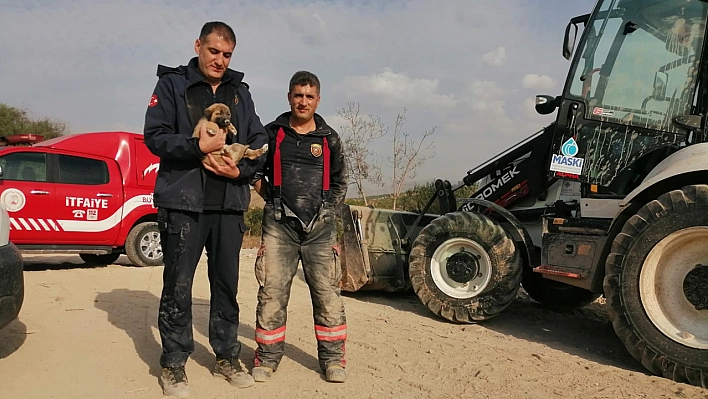 Enkaz Altında Kalan Köpek Kurtarıldı