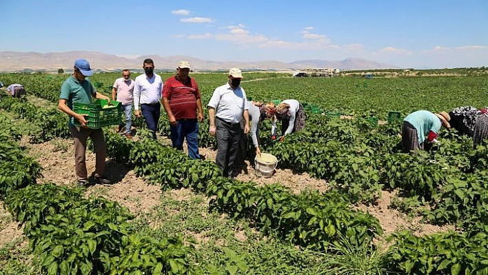 Esenlik genel müdürü Ünlü'den çiftçilere destek açıklaması