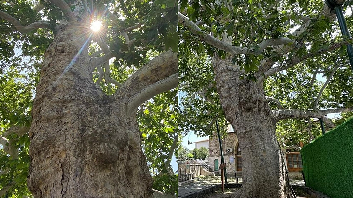 Evliya Çelebi Gölgesinde Not Almıştı, Ağırlığını Kaldıramayınca Güçlendirildi