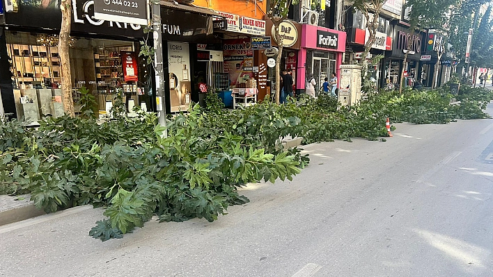 Gazi Caddesi'nde kış temizliği