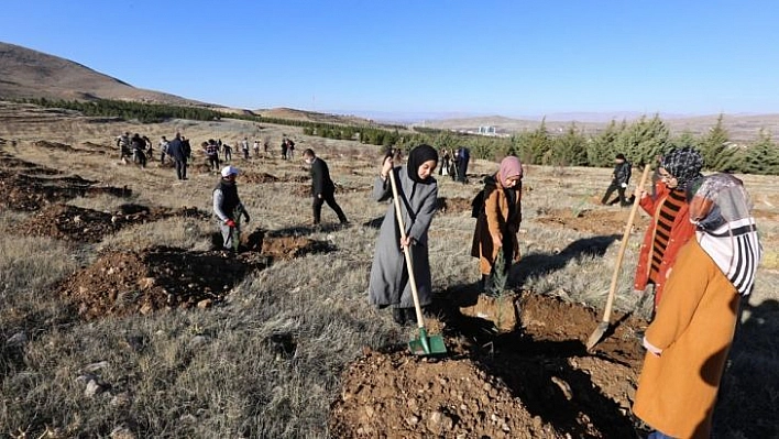 Gençler yeşillendirmeye destek