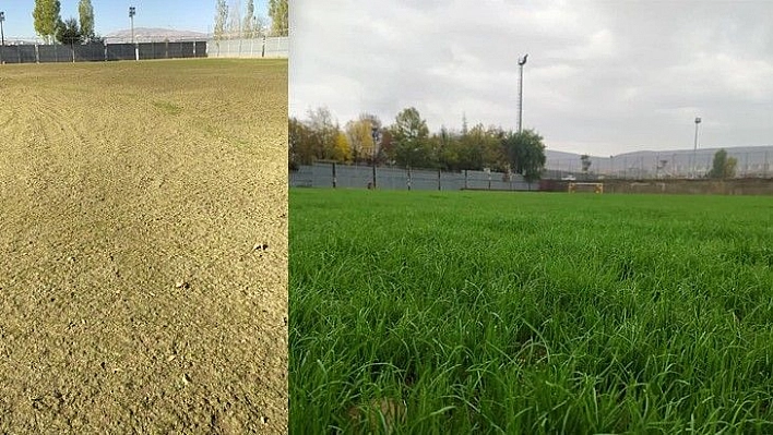 Gökmen Yıldıran Antrenman Sahası çimlendirildi