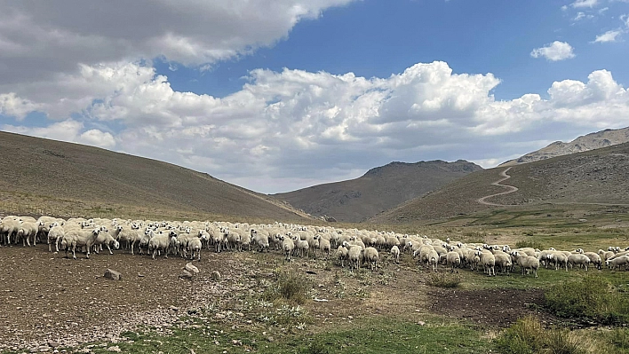 Hangisi Doğru ?