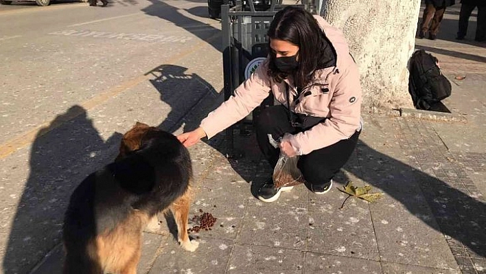 Harçlığından biriktirdiği paralarla sokak hayvanlarını besliyor