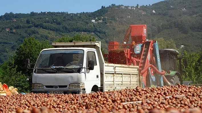 Hasat vakti geldi, saatte 3 bin 500 TL kazanıyorlar!