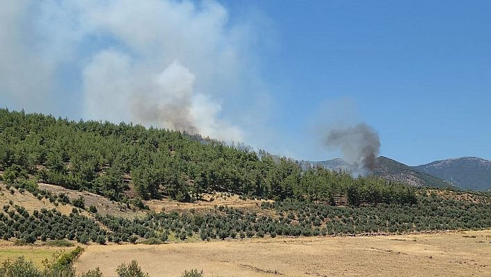 Hatay'da Orman Yangını