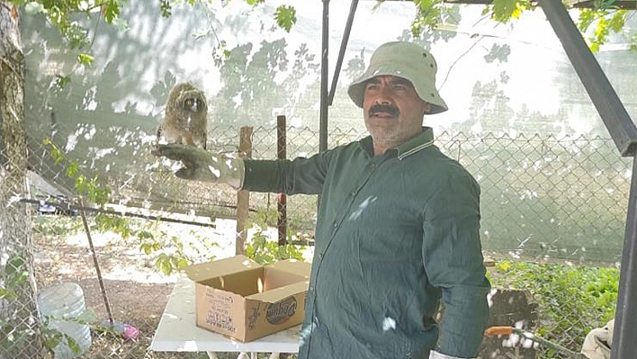 HAYDİ'nin Bulduğu Yavru Baykuş, Tedavi Altına Alındı