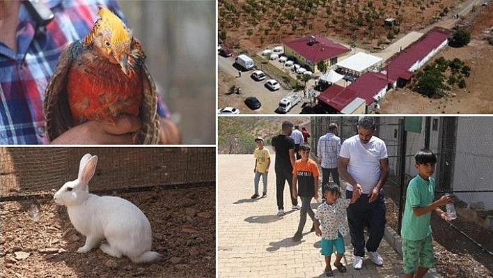 Hayvanat bahçesi değil 'Huzur Çiftliği'