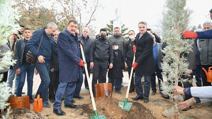 Hemşehri dernekleri fidan dikti