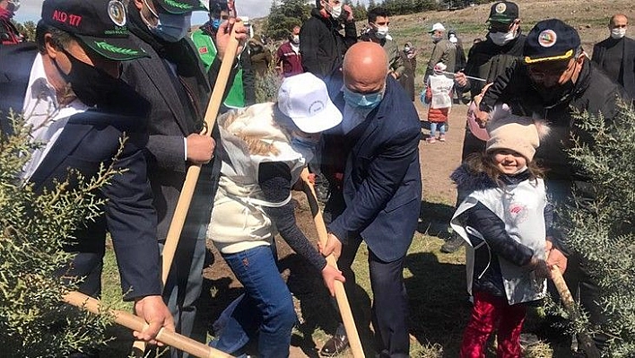 İHH'nın Fidanları Toprakla Buluştu