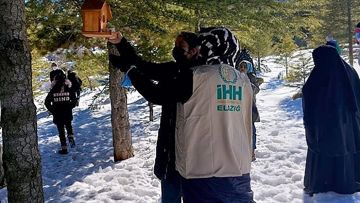 İHH Yetim Birimi Kış Şartlarında Hayvanları Unutmadı