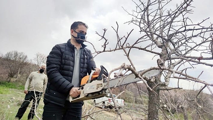 İlçeye katma değer, 24 bin yabani menengiç ağacında Antep fıstığı yetişecek