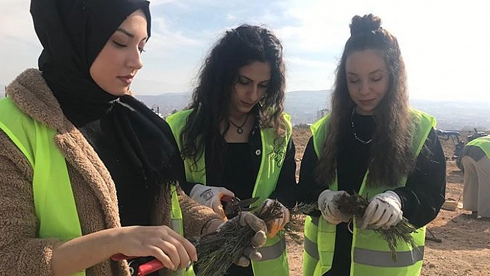 İpek Yolu Gençlik Merkezi Gönüllülerinden Lavanta Parkı