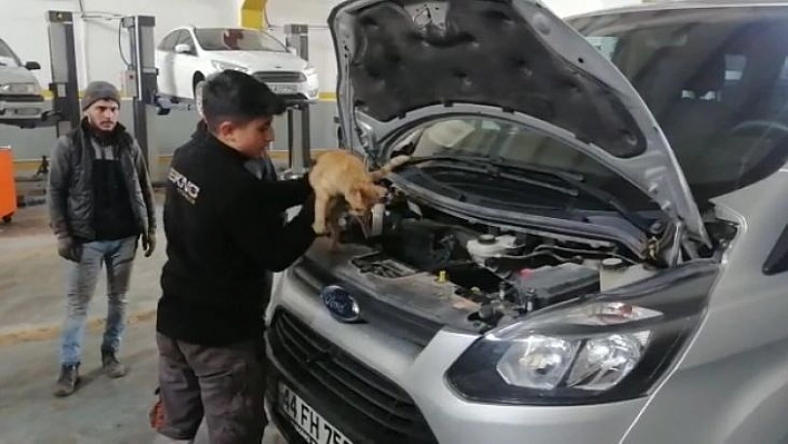 Isınmak için girdiği aracın motorundan çıkmak istemedi