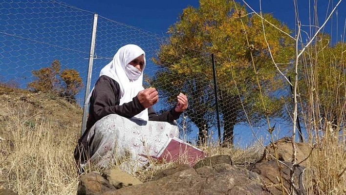 İYİ Partili Lütfü Türkkan küfür etmişti, bir tepki de şehidin annesinden geldi