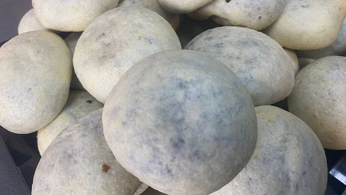 İzmir'in bombası Elazığ'a düştü