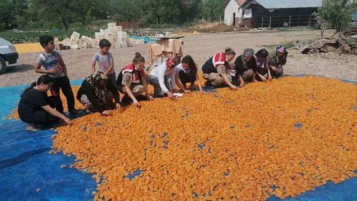 Jandarma'dan bahçede çalışan kadınlara eğitim