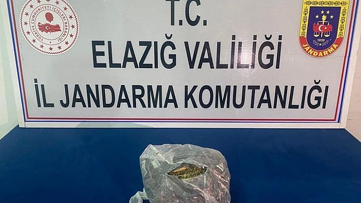 Jandarma uyuşturucu tacirlerine geçit vermiyor: 2 tutuklama