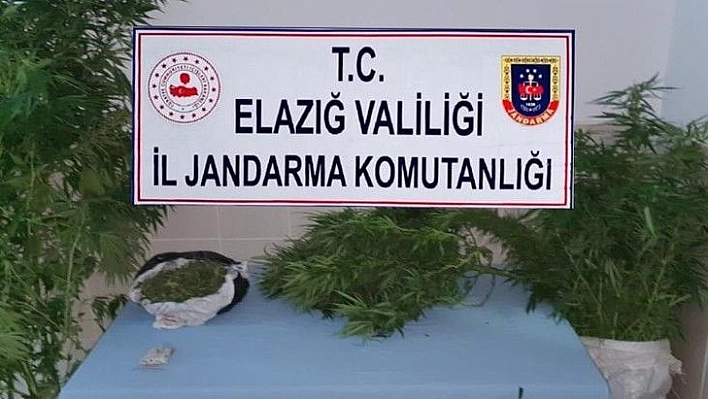 Jandarmadan zehir tacirlerine eş zamanlı operasyon