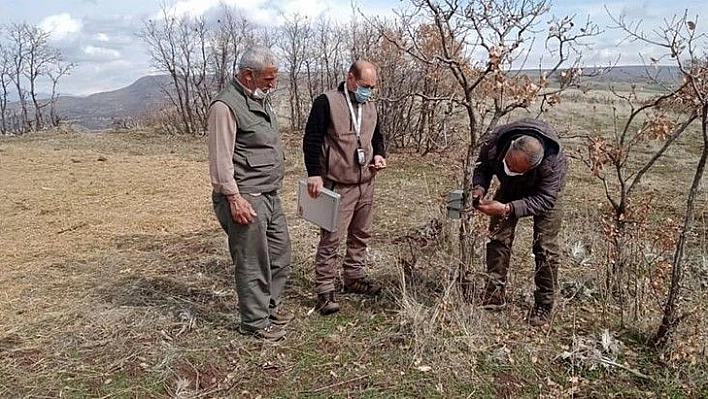 Kaçak ava karşı foto kapanlar kuruldu, kaçak meterisler yıkıldı