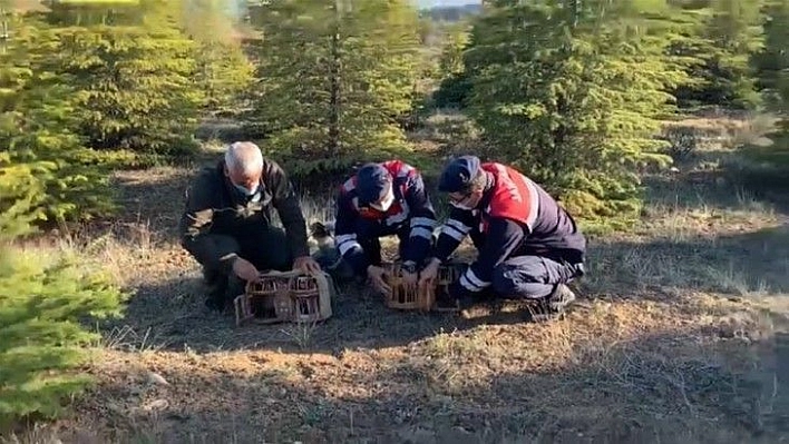 Kaçak avcılar yakalandı 5 bin TL ceza kesildi