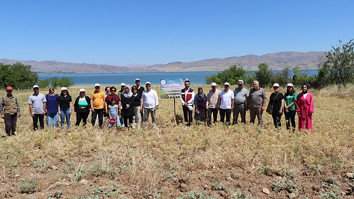 Kadın Çiftçiler Nohut Hasadına Başladı